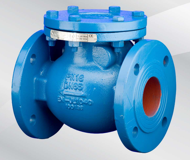 Check Valve 650 (Cast Iron)